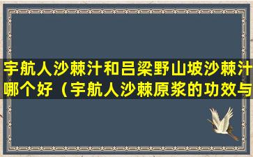 宇航人沙棘汁和吕梁野山坡沙棘汁哪个好（宇航人沙棘原浆的功效与作用）