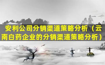 安利公司分销渠道策略分析（云南白药企业的分销渠道策略分析）