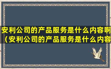 安利公司的产品服务是什么内容啊（安利公司的产品服务是什么内容啊英语）
