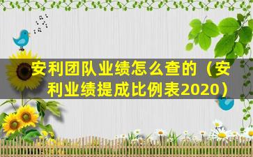 安利团队业绩怎么查的（安利业绩提成比例表2020）