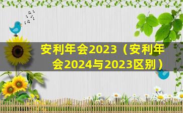 安利年会2023（安利年会2024与2023区别）