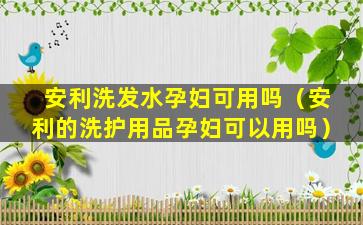 安利洗发水孕妇可用吗（安利的洗护用品孕妇可以用吗）