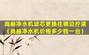 尚赫净水机滤芯更换往哪边拧紧（尚赫净水机价格多少钱一台）