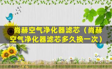 尚赫空气净化器滤芯（尚赫空气净化器滤芯多久换一次）