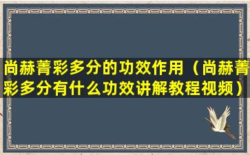 尚赫菁彩多分的功效作用（尚赫菁彩多分有什么功效讲解教程视频）