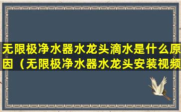 无限极净水器水龙头滴水是什么原因（无限极净水器水龙头安装视频）
