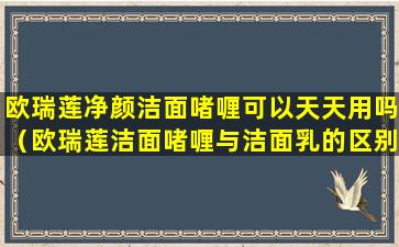 欧瑞莲净颜洁面啫喱可以天天用吗（欧瑞莲洁面啫喱与洁面乳的区别）