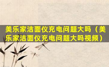美乐家洁面仪充电问题大吗（美乐家洁面仪充电问题大吗视频）