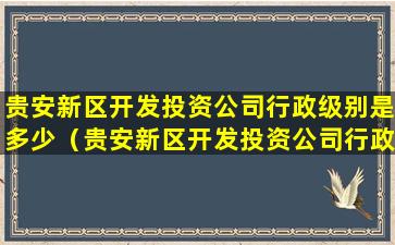 贵安新区开发投资公司行政级别是多少（贵安新区开发投资公司行政级别是多少啊）