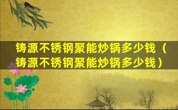 铸源不锈钢聚能炒锅多少钱（铸源不锈钢聚能炒锅多少钱）