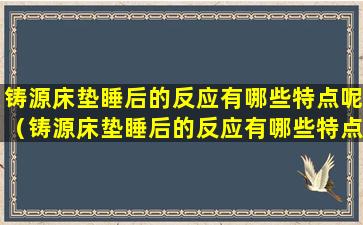 铸源床垫睡后的反应有哪些特点呢（铸源床垫睡后的反应有哪些特点呢视频）